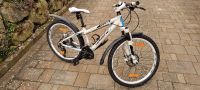 Haibike Rookie 24" Fahrrad Kinderfahrrad Bayern - Litzendorf Vorschau