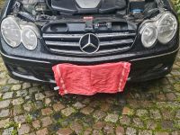 Mercedes CLK Coupe  320cdi Nordrhein-Westfalen - Büren Vorschau