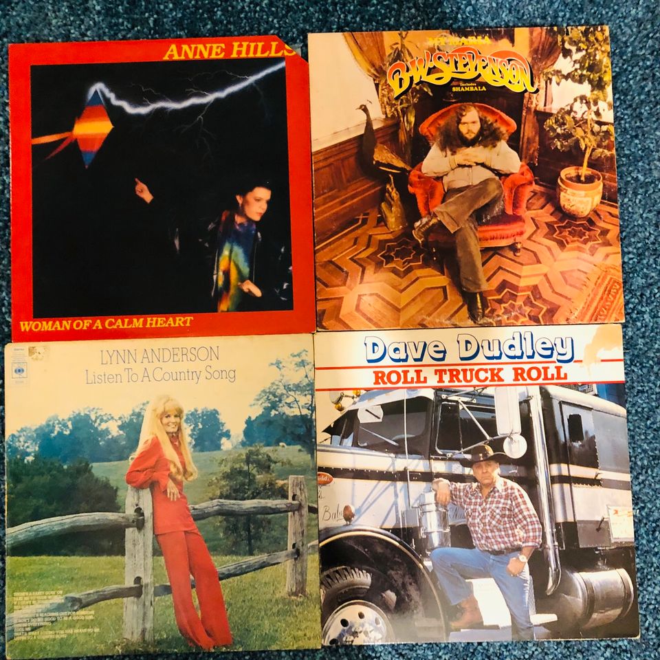 Riesiges Schallplatten Konvolut Sammlung Vinyl Country Rock Pop in Bremen