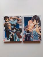 Der Pirat und die Prinzessin Manga 1-2 *abgeschlossen* Hessen - Weilrod  Vorschau