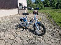 Puky Fahrrad 12 Zoll Hellblau Blue OCEAN inkl Stützräder und Korb Bayern - Denkendorf Vorschau
