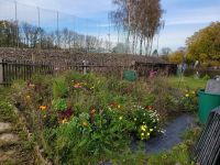 Garten in idyllischer Lage Sachsen - Freiberg Vorschau