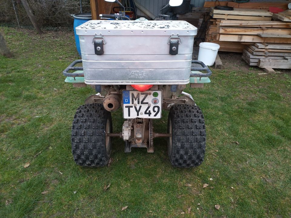 Kymco KXR 250 Quad in Lörzweiler