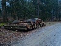 Brennholz Stammholz Feuerholz Kaminholz Bayern - Burglengenfeld Vorschau