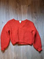 Hellroter Strickpulli Baden-Württemberg - Emmendingen Vorschau