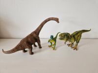 Schleich Dinosaurier Set Sachsen - Zeithain Vorschau