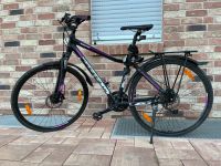 Giant Rove Liv 2 M Trekking Mountainbike Hessen - Rockenberg Vorschau