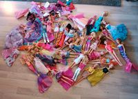 Große Barbie Puppen Sammlung u.a. Filmbarbies und Zubehör Kiel - Hassee-Vieburg Vorschau