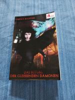 Fantasy Vampir Stefan Balzter Das Ritual der gleissenden  Dämonen Bayern - Freyung Vorschau