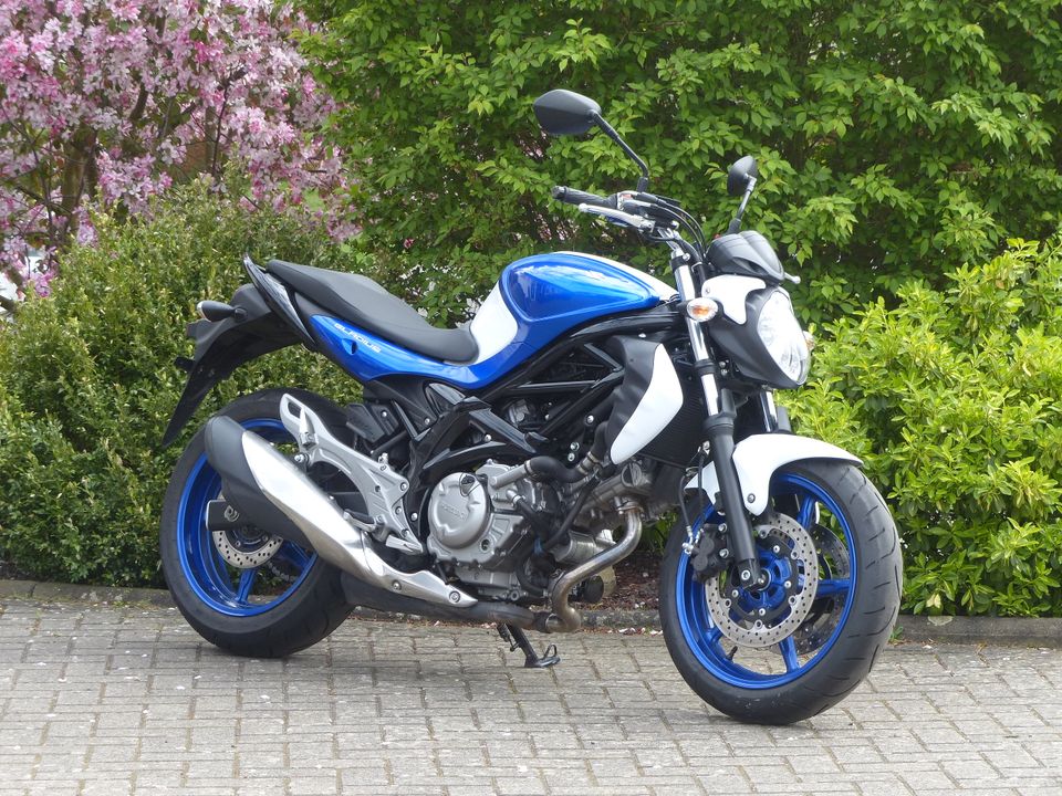 Suzuki Gladius 650 SFV 650 in Melsungen