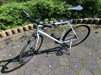 Single-Speed Rad - neuwertig - Top Fitness 60cm / 23“ Nordrhein-Westfalen - Bünde Vorschau