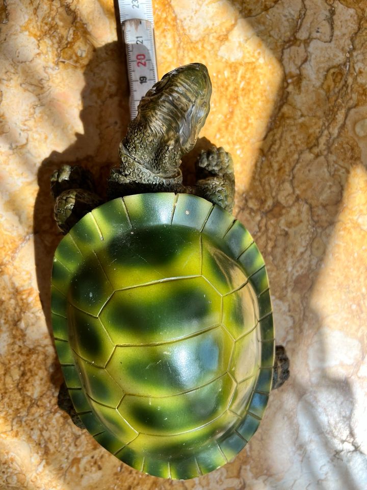 Schildkröte, Dekoschildkröte in Feldkirchen-Westerham