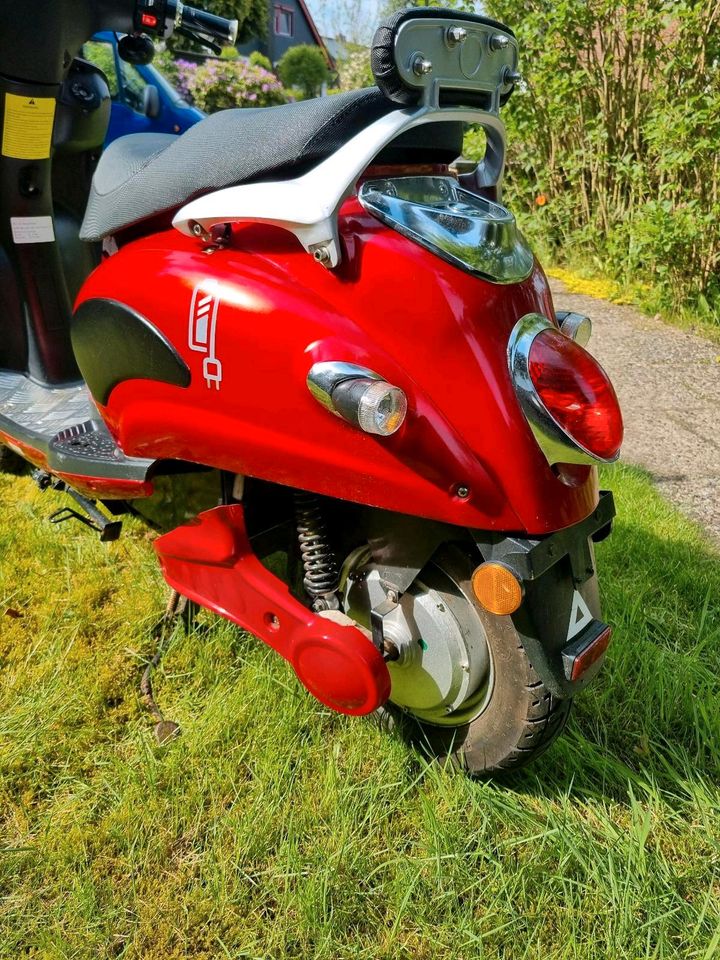 Elektro Roller Moped EcoFlash 2000 Eco Flash 2000 in Tostedt