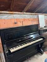 Klavier zu verkaufen Hessen - Calden Vorschau