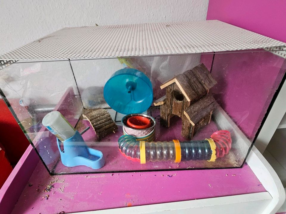Hamster käfig/ terrarium in Remshalden