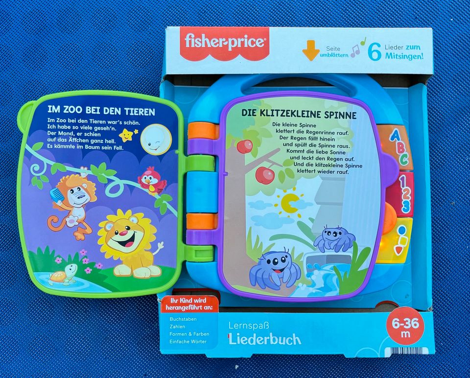 Fisher Price Liederbuch 6-36 Monate in Groß-Zimmern