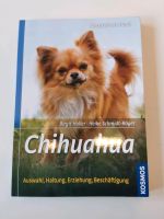 Chihuahua Hundeerziehung Kreis Ostholstein - Fehmarn Vorschau