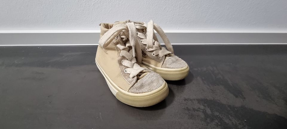 Boys Collection Chucks Sneakers Gr. 26 / 27 in Remseck am Neckar