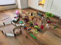 Playmobil Sammlung Niedersachsen - Hardegsen Vorschau