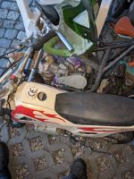 Kindermotorrad/ Pocketbike Brandenburg - Schorfheide Vorschau