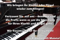 Klavierstimmung Raum Lichtenfels Coburg Kulmbach Bad Staffelstein Bayern - Michelau i. OFr. Vorschau