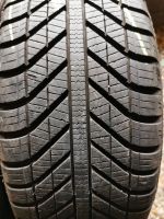 2 x Goodyear Allwetterreifen, 205/55R16 94V, 7mm Rheinland-Pfalz - Diez Vorschau