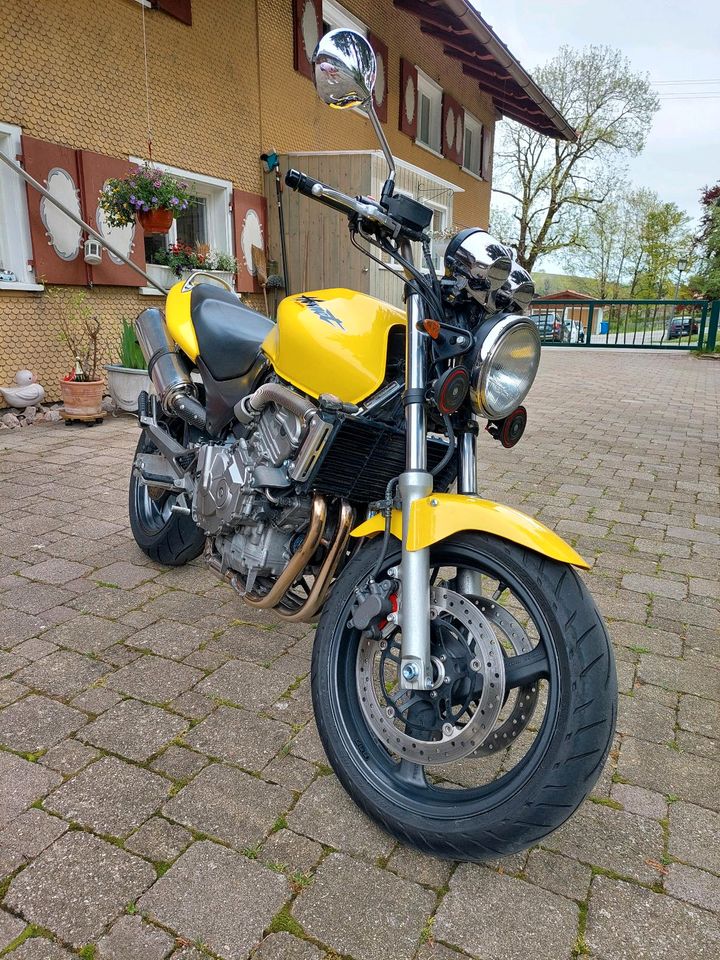 Honda CB600F Hornet in Durach