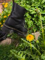 Dr. Martens audrick 8-eyes Bayern - Erding Vorschau