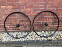 Rennrad Gravel Tubeless Laufräder WTB Nordrhein-Westfalen - Mülheim (Ruhr) Vorschau