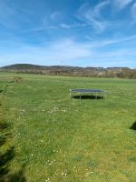 Rasenmähen, Hecke schneiden, Grünanlage pflegen Bayern - Berching Vorschau