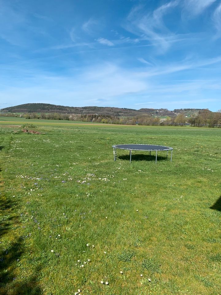 Rasenmähen, Hecke schneiden, Grünanlage pflegen in Berching