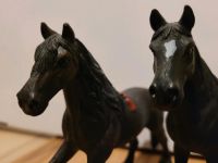 Schleich Pferde Set6 Nordrhein-Westfalen - Salzkotten Vorschau