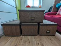 4 braune IKEA Boxen Kisten MOTORP zur Aufbewahrung Dresden - Südvorstadt-Ost Vorschau