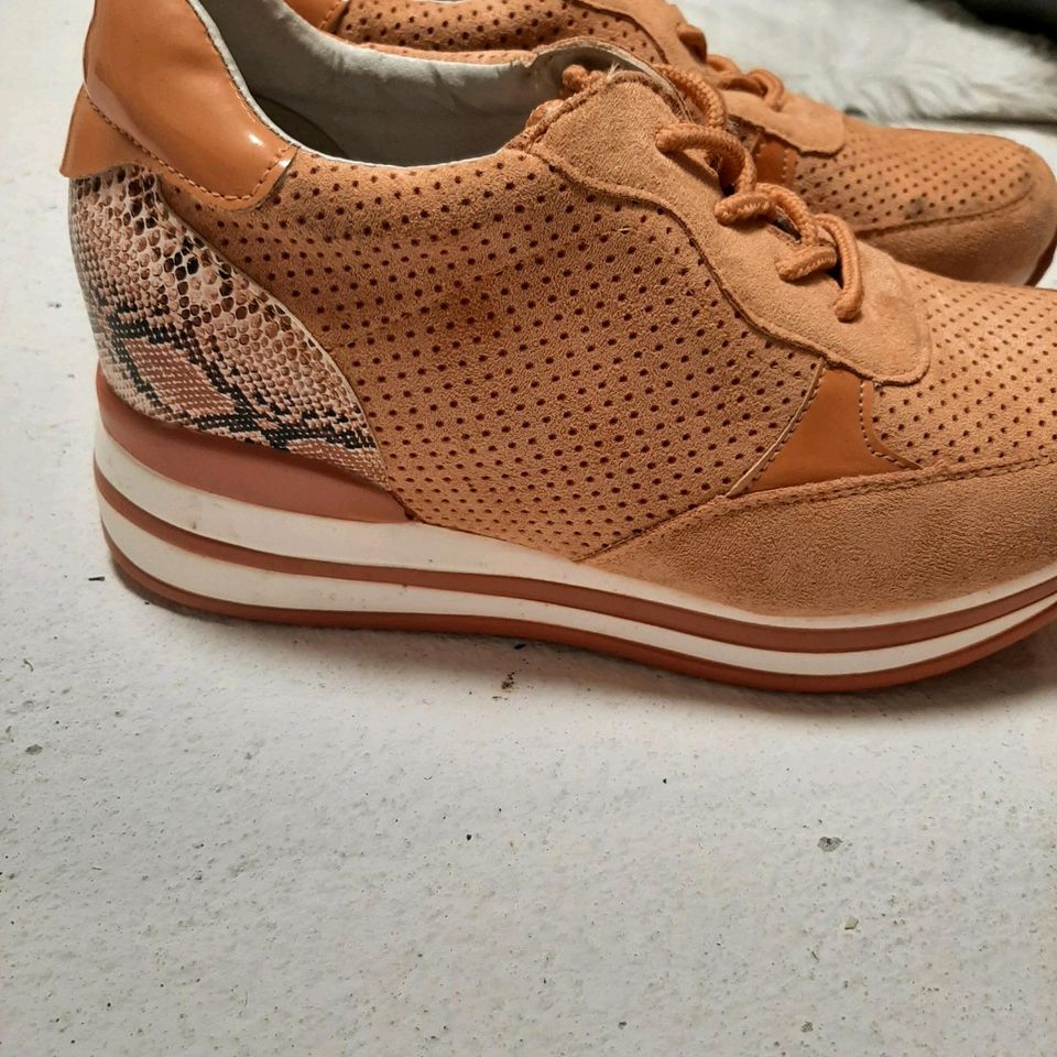 Keilabsatz Sneaker Wildleder 37 NEU Sommer apricot in Stolpe