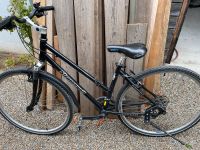 Trekkingrad Crossbike Steppenwolf Tao Damen Bayern - Bayreuth Vorschau