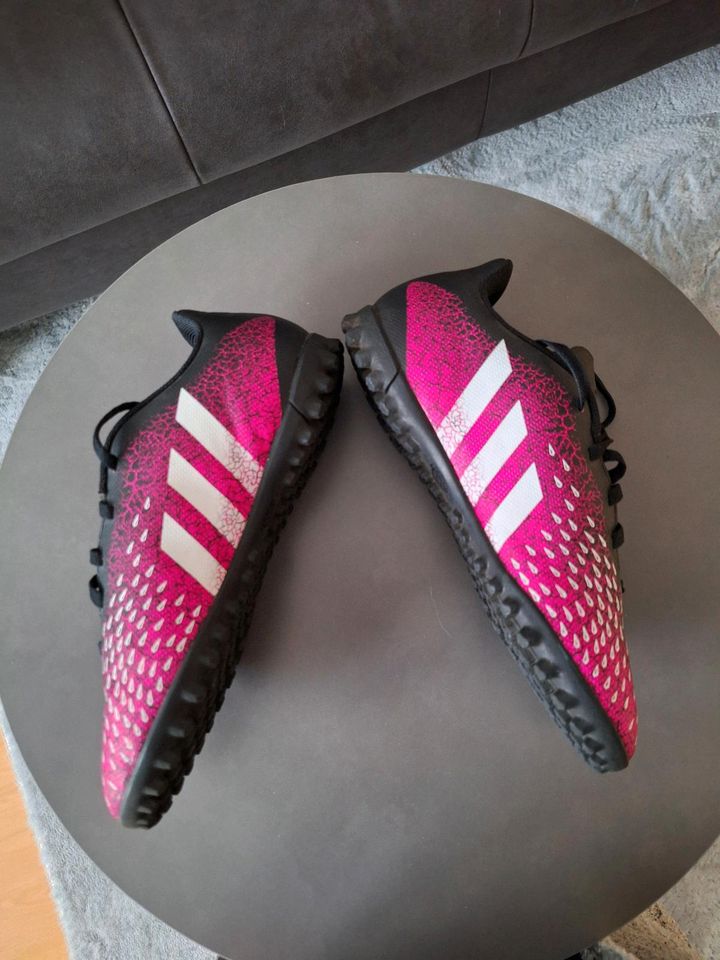 Adidas Predator Freak.4, Größe UK 4,5, US 4, FR 36 2/3 in Oberursel (Taunus)