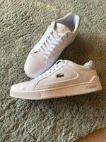 lacost schuhe herren 42,5 Rheinland-Pfalz - Bendorf Vorschau