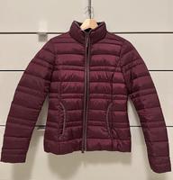 Damen Steppjacke in Weinrot / Bordeaux – Größe XS Dortmund - Innenstadt-Ost Vorschau