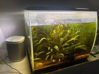 Aquarium Fluval Flex 57l LED Beleuchtung, Filter, Pumpe, weiss Nordrhein-Westfalen - Hagen Vorschau