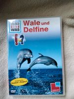 Was ist Was,DVD, Wale und Delfine, neuwertig, Englisch u Deutsch Bochum - Bochum-Südwest Vorschau