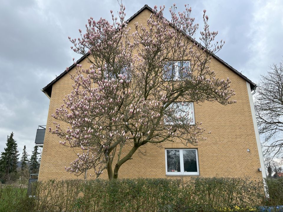 Traumwohnung in guter Lage mit Balkon. Stadtrand. 1A Renoviert. in Nordstemmen