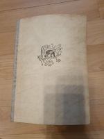 Buch Albert Messany Auf Bergwild in den Rocky Mountains 1941 Sachsen-Anhalt - Halle Vorschau