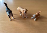 Schleich Hunde (3 Stück) Golden Retriever, Husky, Bernhardiner Nordrhein-Westfalen - Billerbeck Vorschau