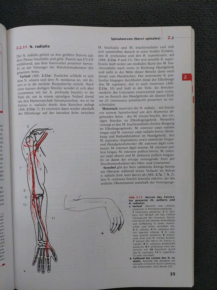 Trepel Neuroanatomie in Liederbach