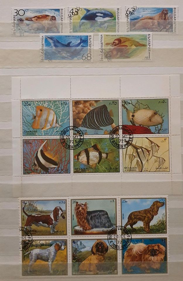 Briefmarken Motive Tiere Pflanzen Weltraum in Düsseldorf