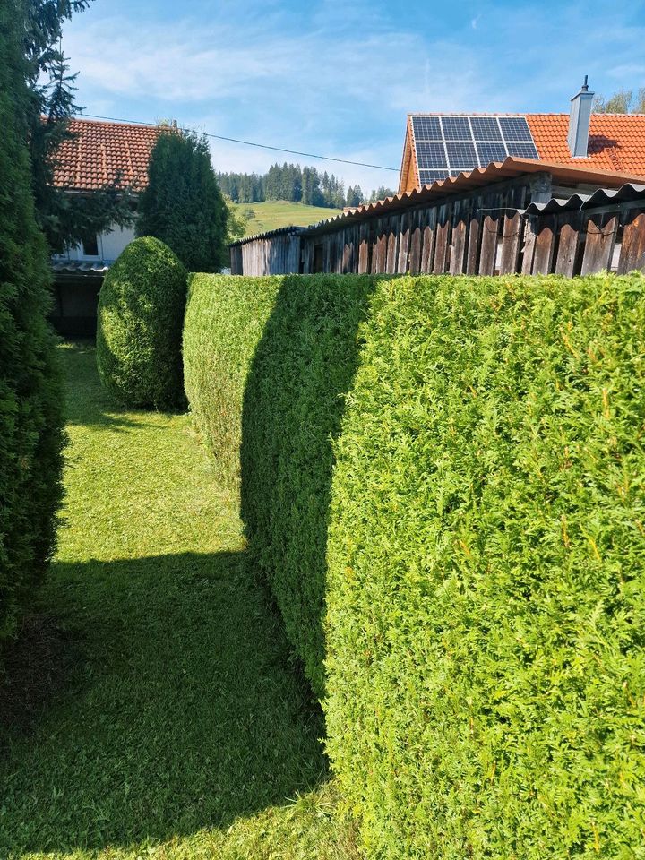 Reinigungskraft, Haus-Halter, Hausmeister in Grünenbach Allgäu