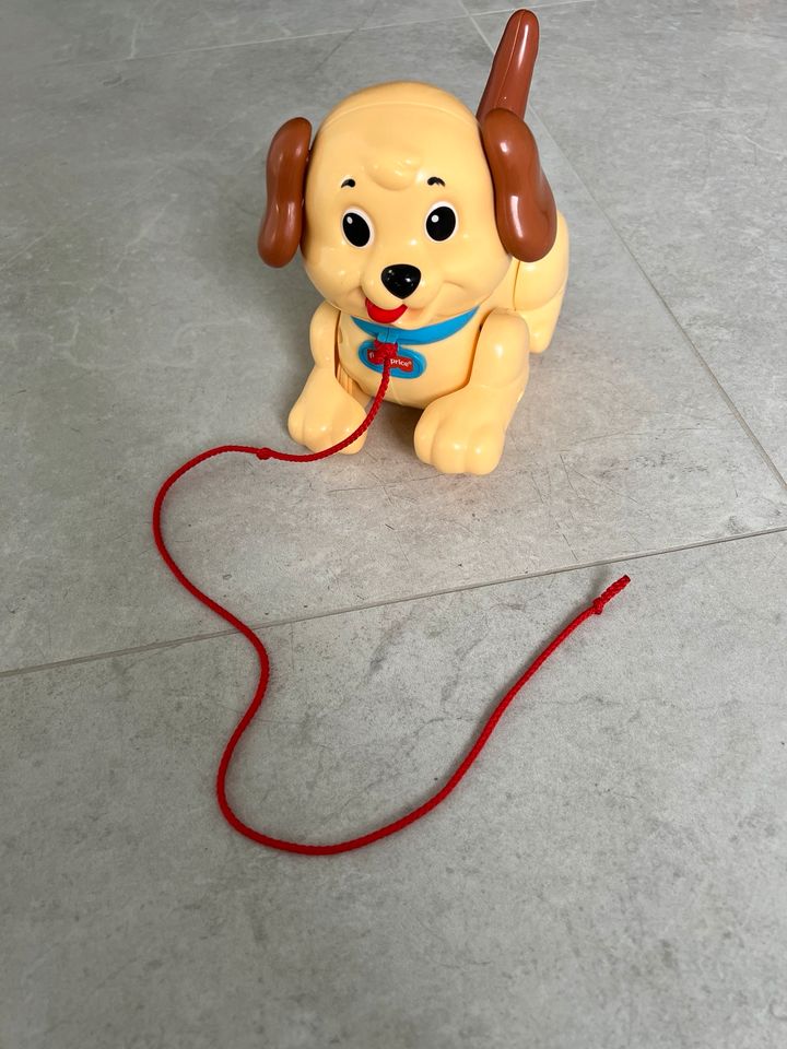 Kleiner Ziehhund von Fisher Price in Rottenburg a.d.Laaber