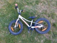 Kinderfahrrad 16 Zoll Specialized RipRock Baden-Württemberg - Balingen Vorschau