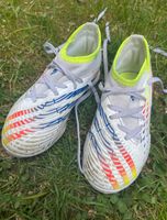 Adidas Predator TF Nockenschuhe Fußballschuhe Gr 28 US 10,5 Altona - Hamburg Lurup Vorschau