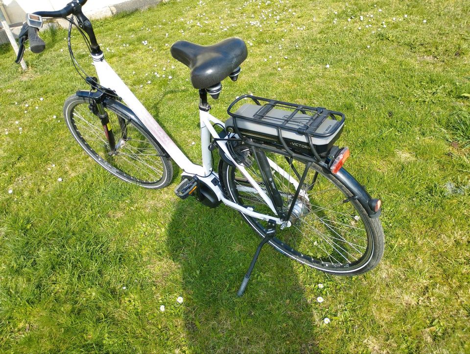 Damen E-Bike Viktoria Deep 28 in Bischberg